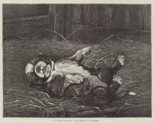 A St Bernard Puppy, the Sleep of Innocence